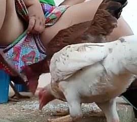 Muss beobachten desi bhabi Fütterung Henne