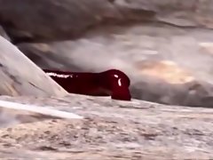 Tentacal 전쟁