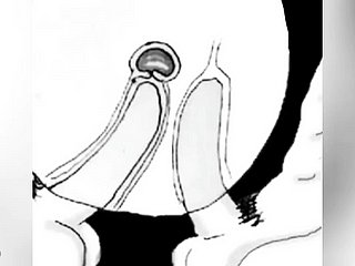ฉันหลั่งในตูดของคุณดังนั้นฉันจึงไม่ตั้งครรภ์ - การ์ตูน Boru Sumi