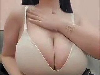 بڑی چینی چھاتی 2