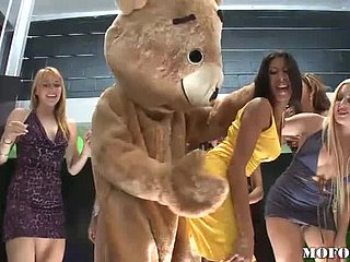 Bailing Bear folla Latina Kayla Carrera en despedida de soltera caliente