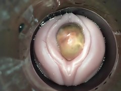 兼カム男によってスティッキー排卵