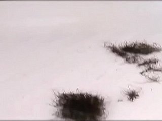 لي الحلاقة كس 2