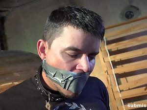 bị ràng buộc, bịt miệng và wanked