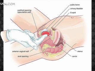 Imparare a sustenance il massaggio erotico per shivering tua donna, renderla felice e rilassarsi e poi il suo cazzo duro! Whe diventerà un plastilina morbida