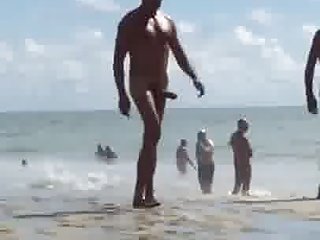 بگ ڈک