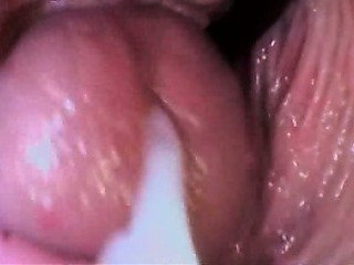 Cumshot / Creampie Compilation