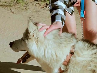 美しい十代は犬と一緒に散歩します