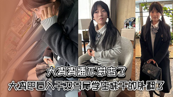 大鸡鸡插不进去了_大鸡巴后入干双马尾学生妹干的外翻.了