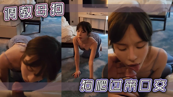 调教母狗狗爬过来口交.