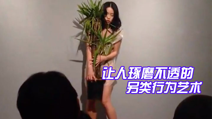 精品让人琢磨不透的另类行为艺术美女抱着一盆花穿着.透明衣服全场人鸦雀无声静静看着她表演